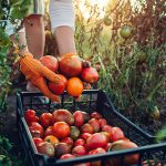 PIC Pathfinder | Career Areas | Agriculture